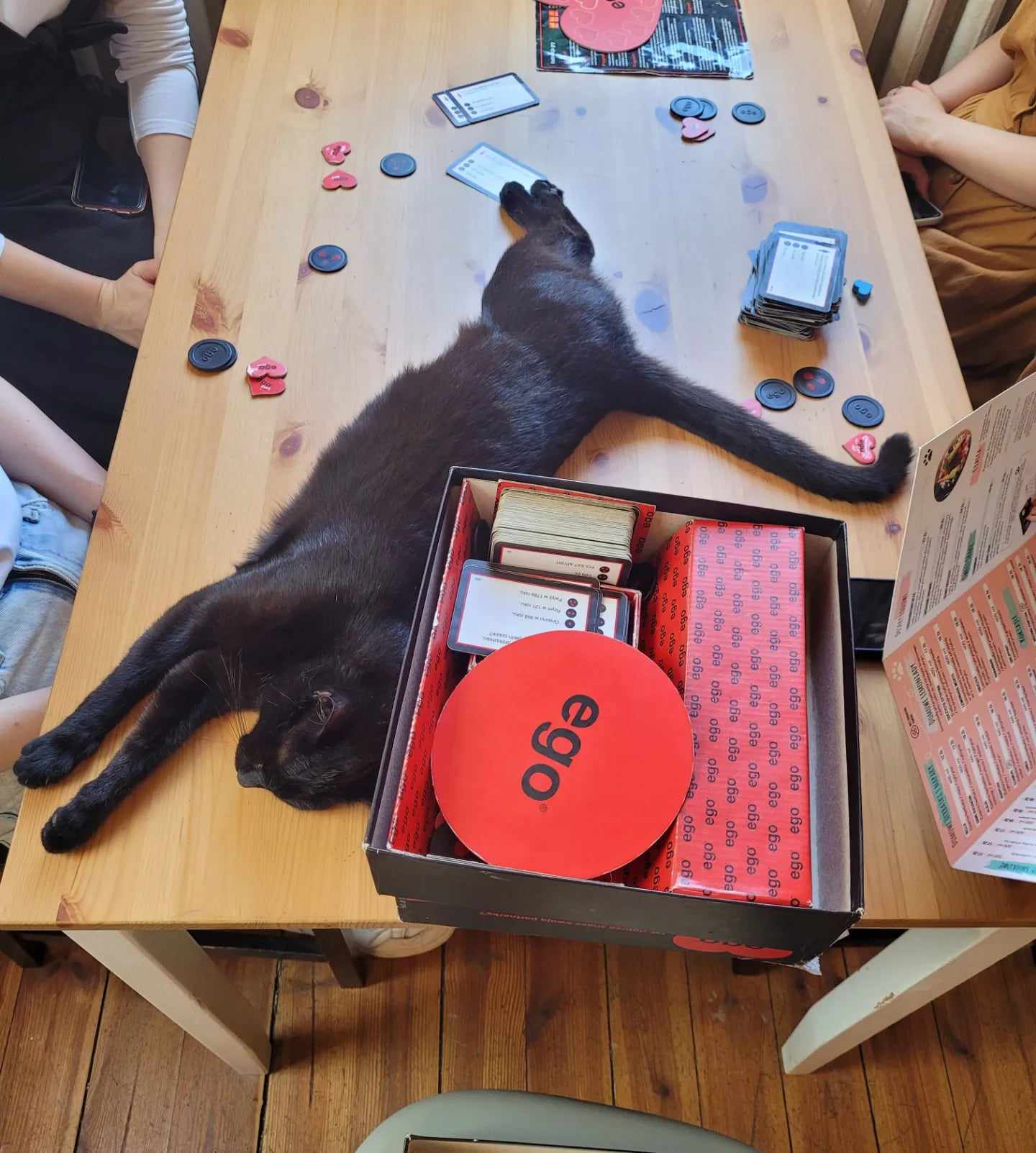 Zagraj w planszówki z kociakami !